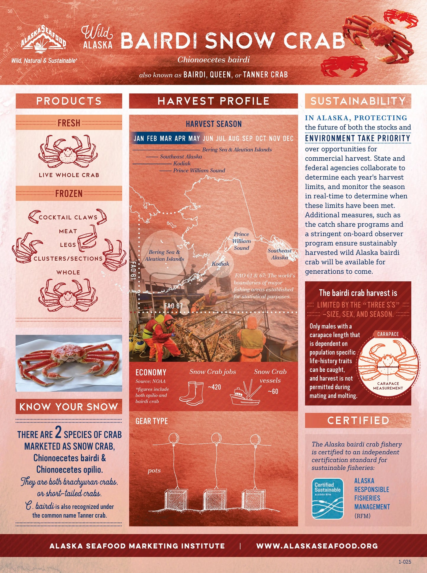 Giant Snow Crab Clusters