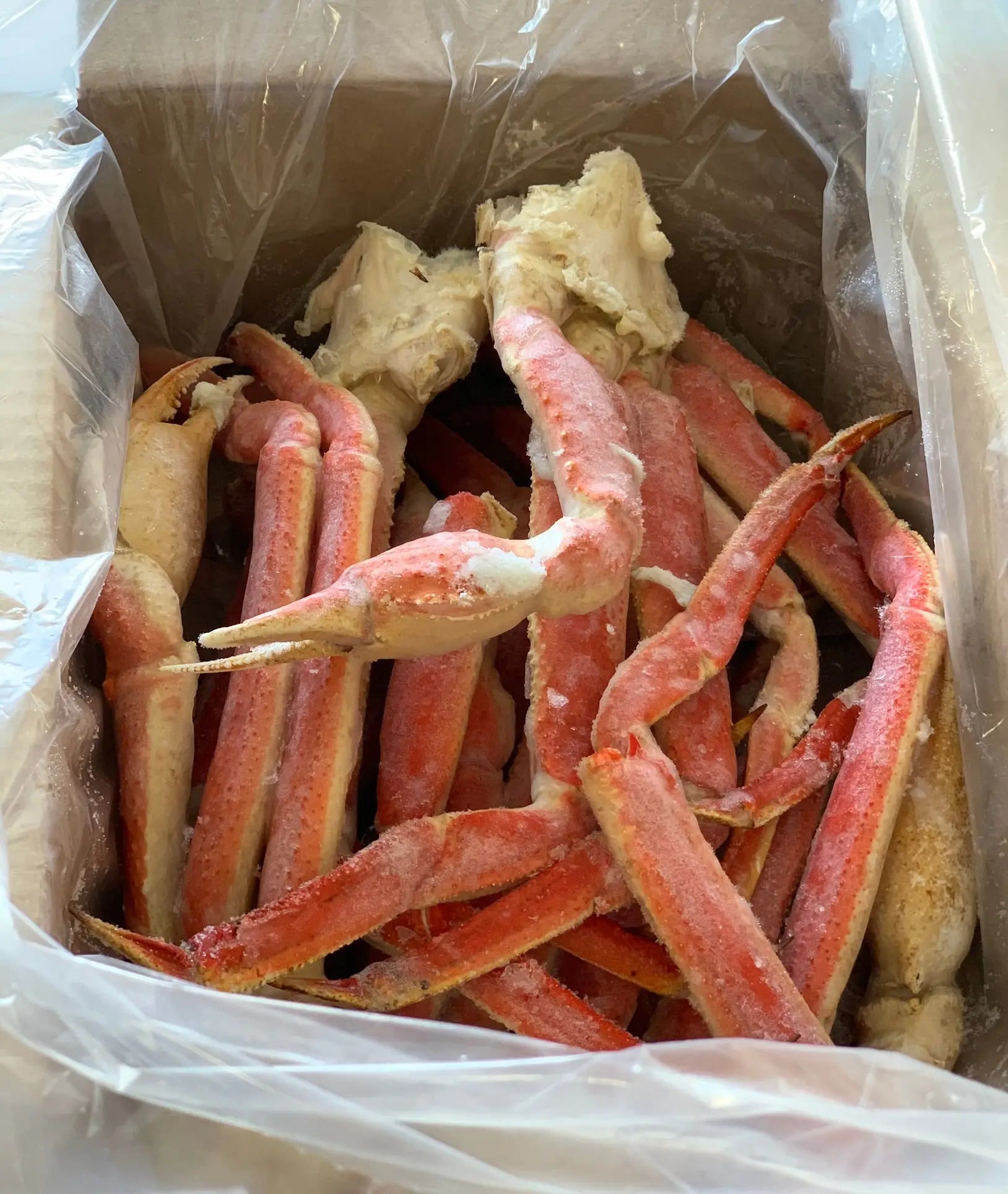  Giant Snow Crab Clusters